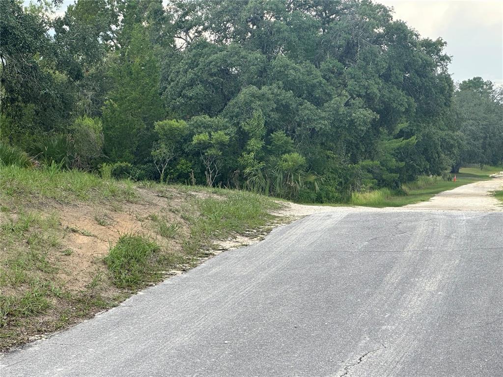 Property for sale at 6977 S RAINBOW POINT, HOMOSASSA, FL, 34446