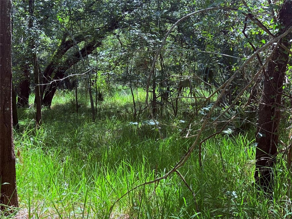 Property for sale at NE RIVER RIDGE AVENUE, ARCADIA, FL, 34266