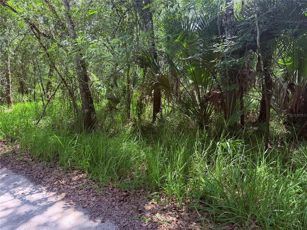 Property for sale at NE RIVER RIDGE AVENUE, ARCADIA, FL, 34266