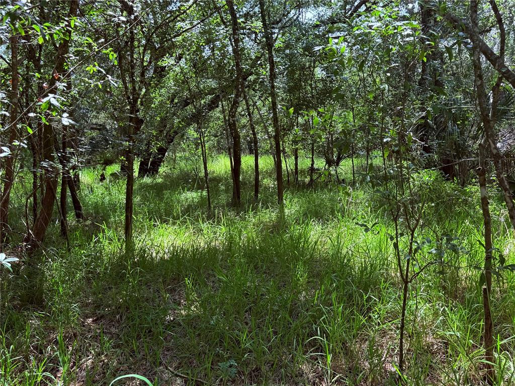 Property for sale at NE RIVER RIDGE AVENUE, ARCADIA, FL, 34266