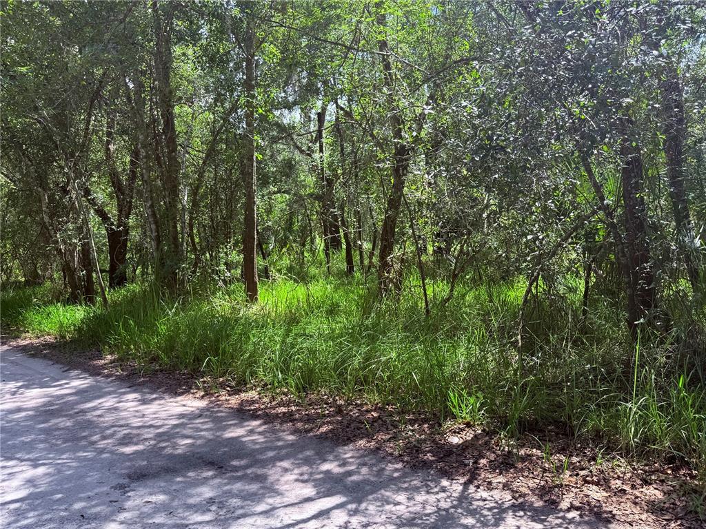 Property for sale at NE RIVER RIDGE AVENUE, ARCADIA, FL, 34266