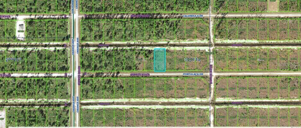 Property for sale at 710 PORTULACA DRIVE, INDIAN LAKE ESTATES, FL, 33855