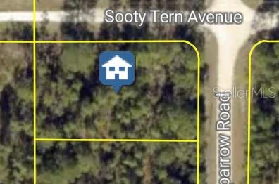 Property for sale at SOOTY TERN AVENUE, WEEKI WACHEE, FL, 34614