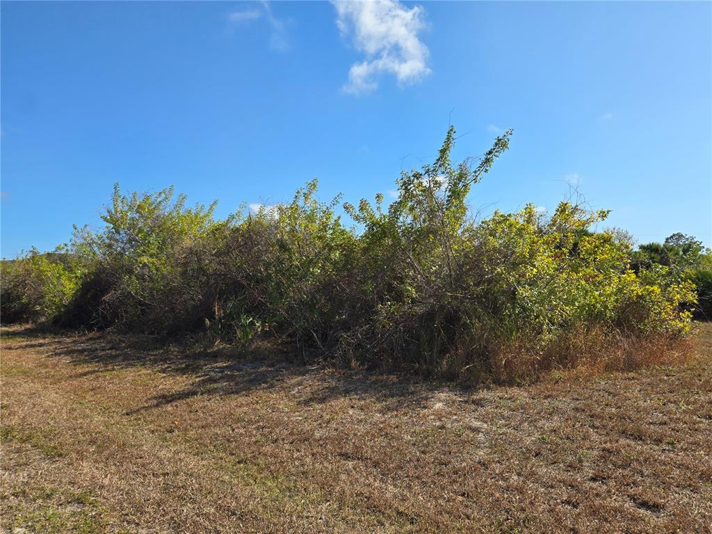 Property for sale at 277 BAYTREE DRIVE, ROTONDA WEST, FL, 33947
