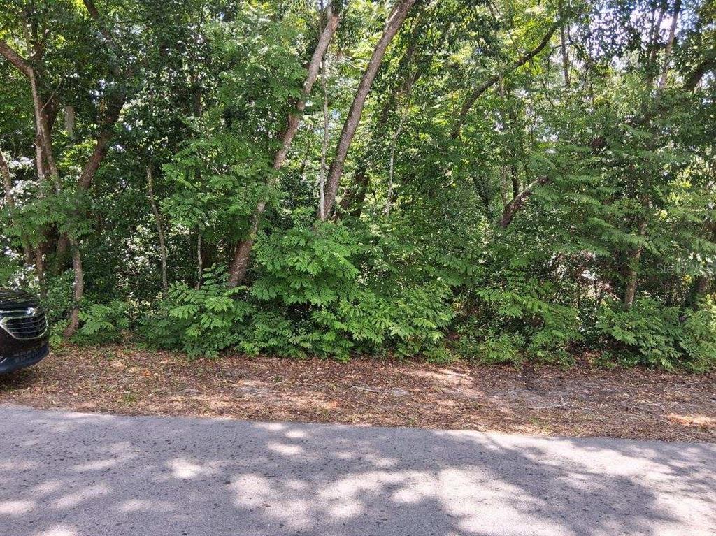 Property for sale at NW 2ND STREET, WEBSTER, FL, 33597