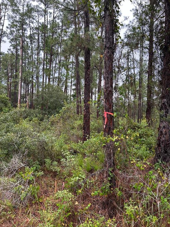 Property for sale at 324 BELMONTE DRIVE, INDIAN LAKE ESTATES, FL, 33855