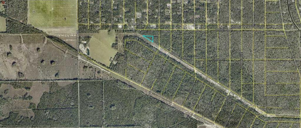 Property for sale at EDDIE STREET, HASTINGS, FL, 32145