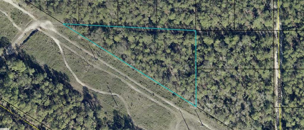 Property for sale at EDDIE STREET, HASTINGS, FL, 32145
