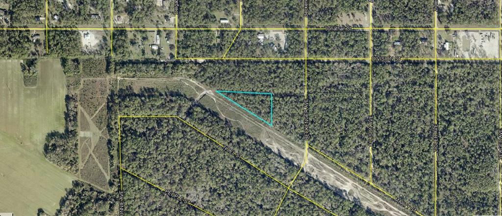 Property for sale at EDDIE STREET, HASTINGS, FL, 32145