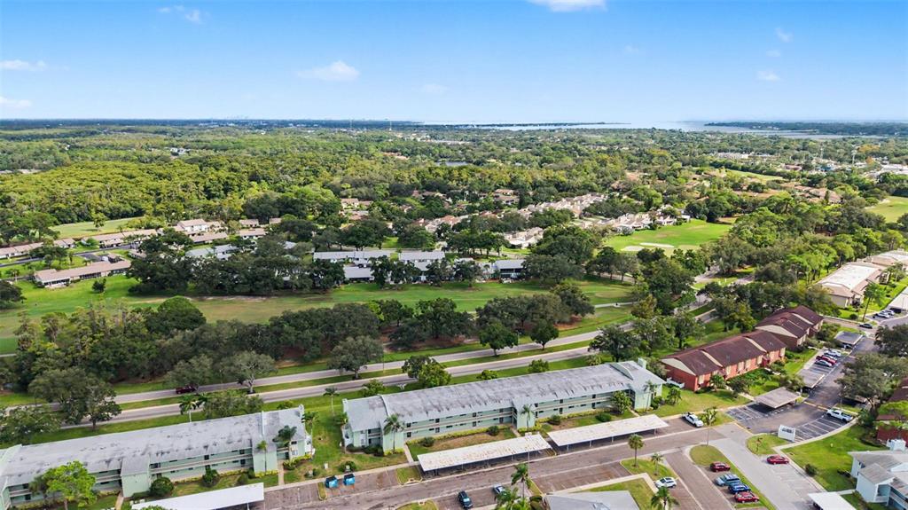 Property for sale at 221 CARYL WAY UNIT 221, OLDSMAR, FL, 34677