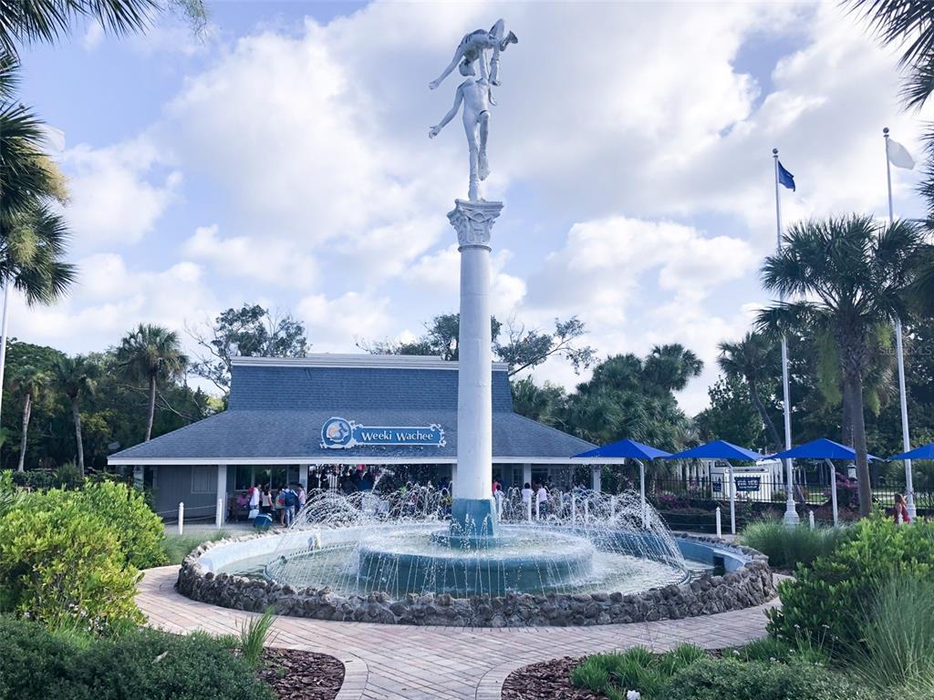 Property for sale at 12160 ESKIMO CURLEW ROAD, WEEKI WACHEE, FL, 34614