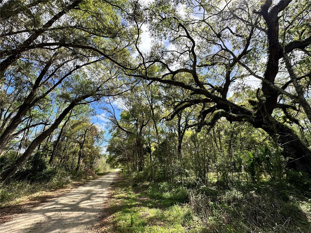 Property for sale at TBD SW 5TH LANE, OCALA, FL, 34481