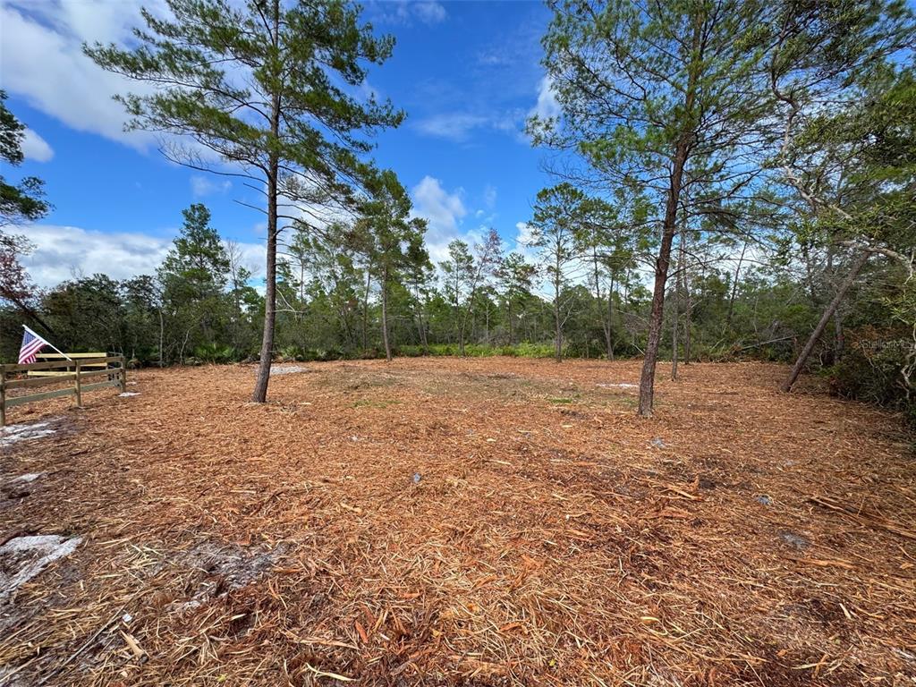 Property for sale at KENTUCKY STREET, PAISLEY, FL, 32767