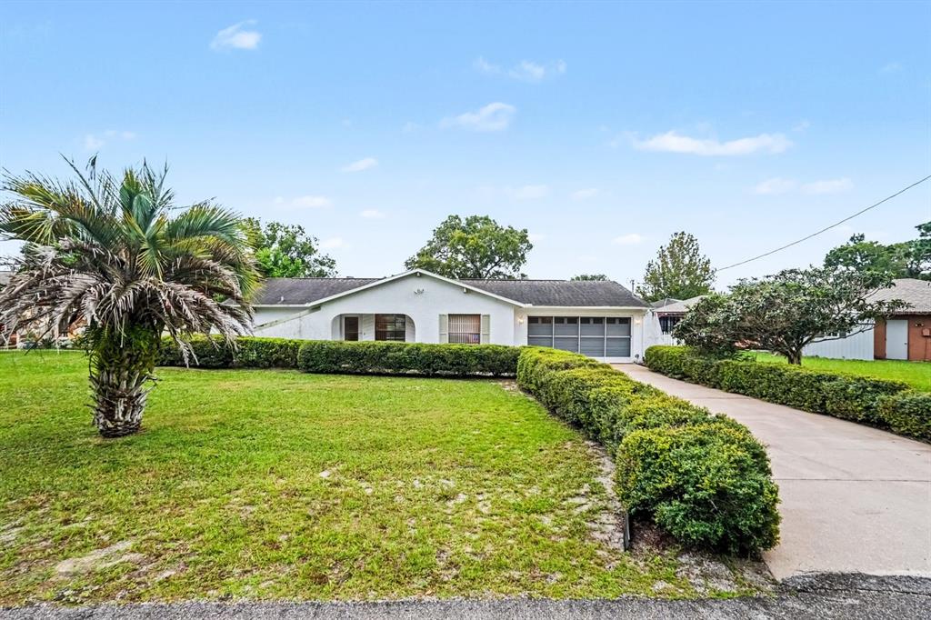 Mature Landscaping Frames This Single-Story Home with Palm Trees