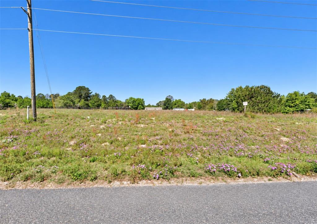Property for sale at UNASSIGNED, MORRISTON, FL, 32668