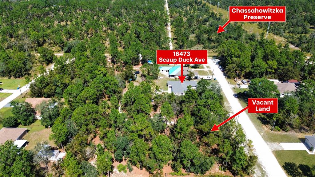 Property for sale at 16473 SCAUP DUCK AVENUE, BROOKSVILLE, FL, 34614