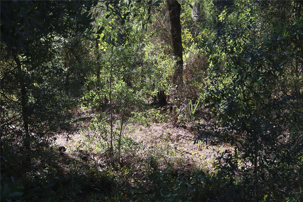 Property for sale at 5756 W CONNETQUOT PLACE, DUNNELLON, FL, 34433