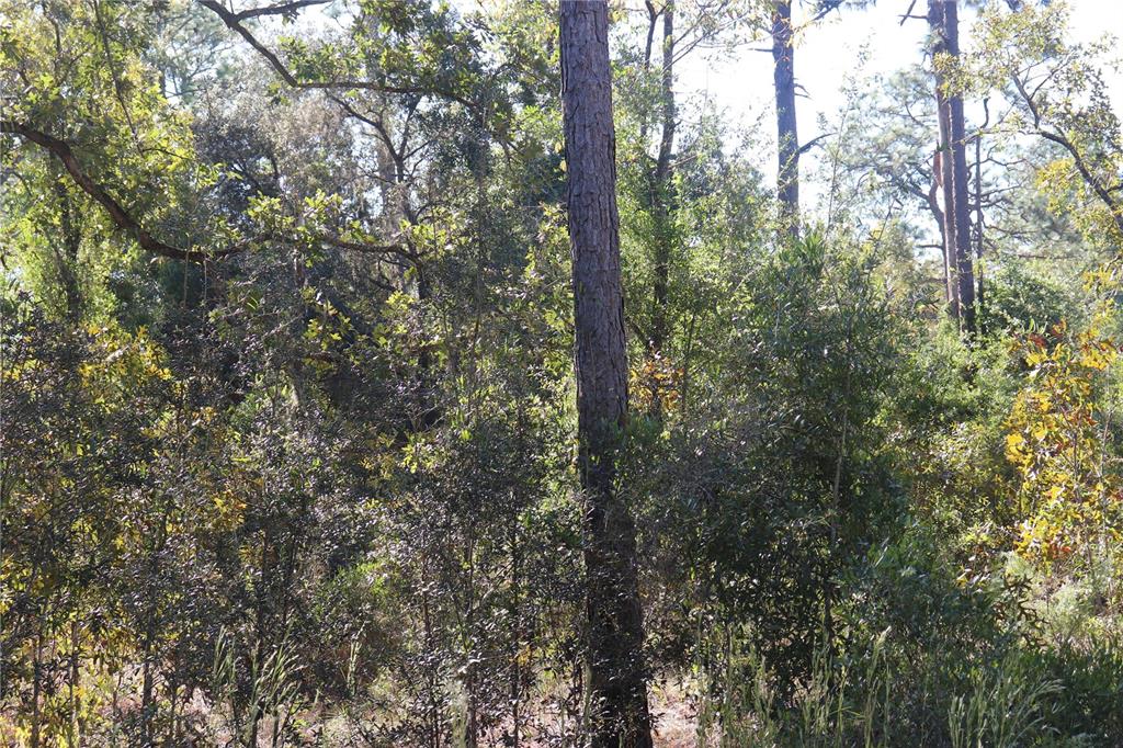 Property for sale at 5756 W CONNETQUOT PLACE, DUNNELLON, FL, 34433