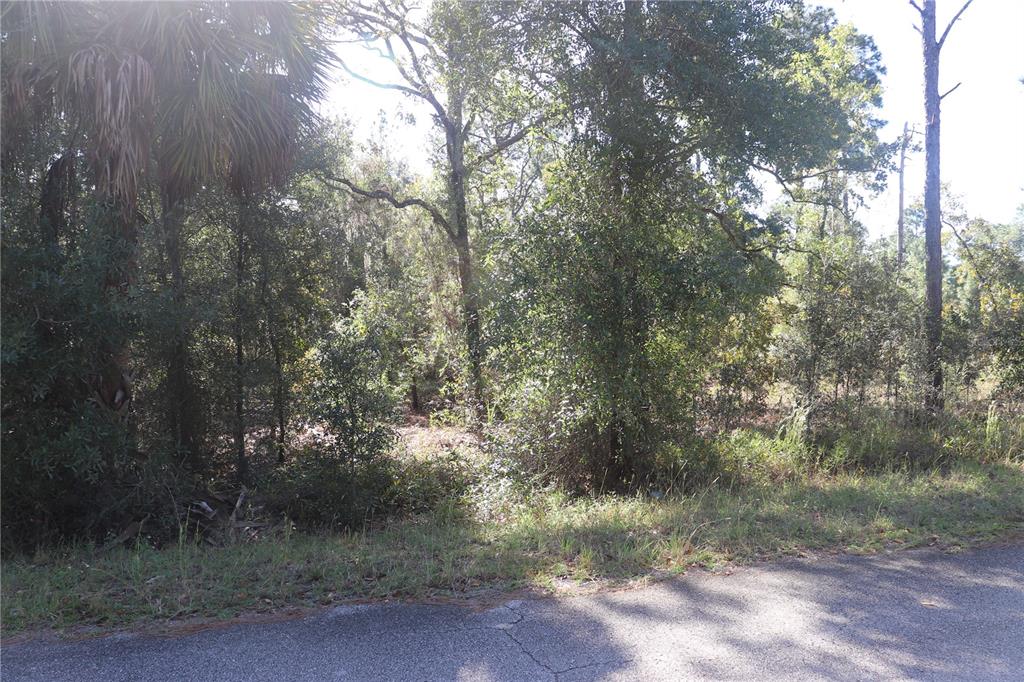 Property for sale at 5756 W CONNETQUOT PLACE, DUNNELLON, FL, 34433