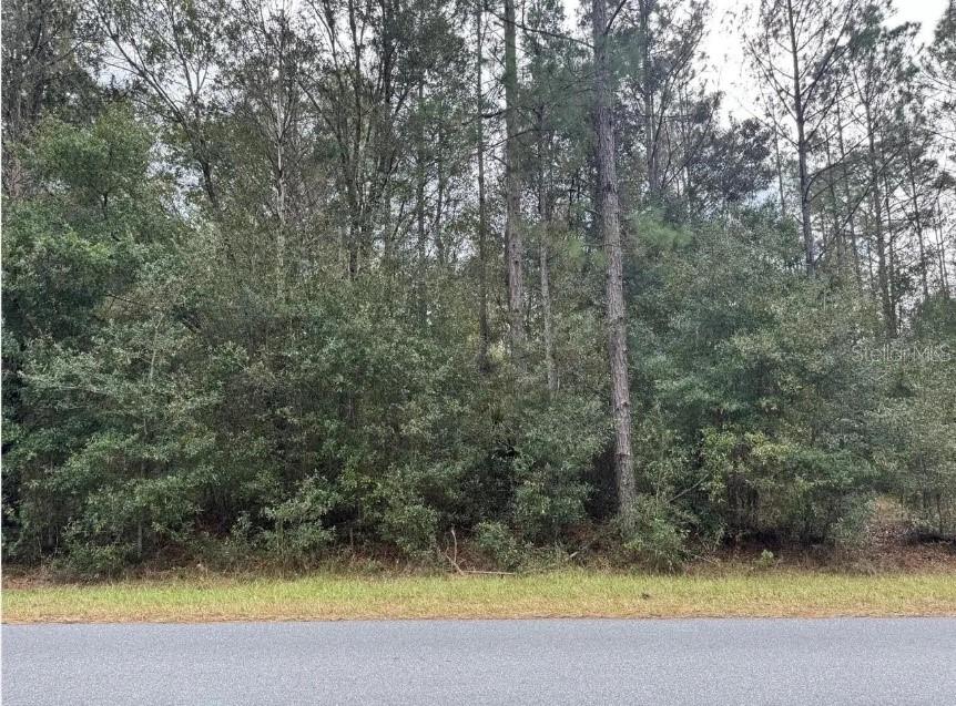 Property for sale at 00 SW 36 AVENUE, OCALA, FL, 34473
