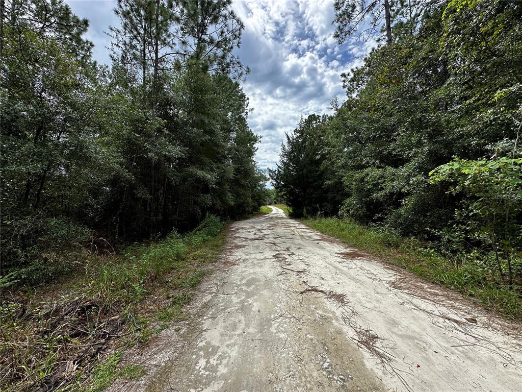 Property for sale at 0000 NE 155TH COURT, WILLISTON, FL, 32696