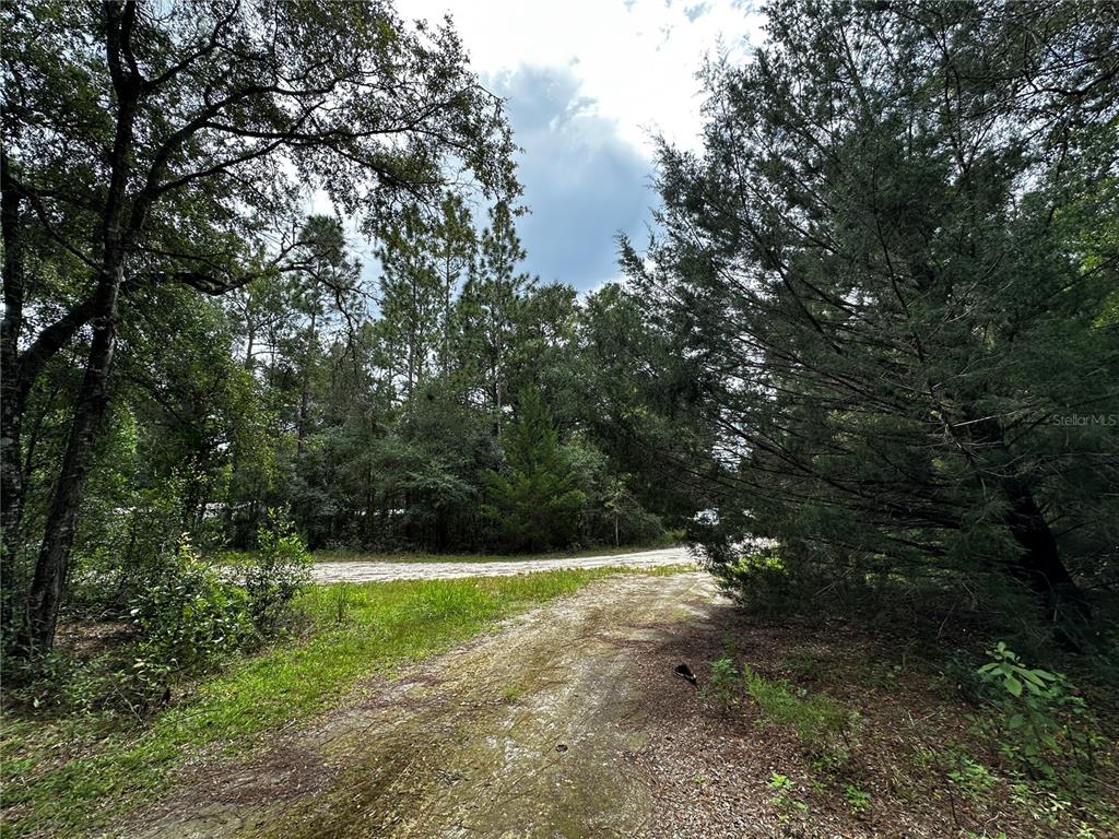 Property for sale at 0000 NE 155TH COURT, WILLISTON, FL, 32696