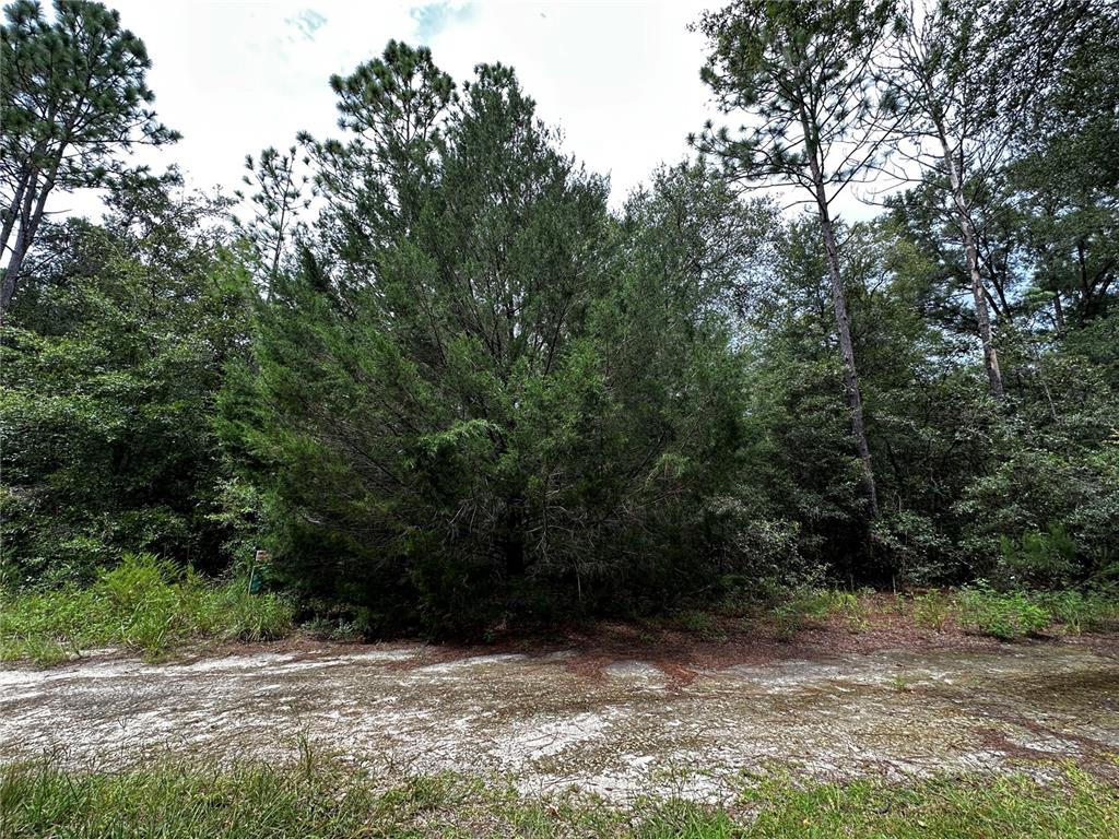 Property for sale at 0000 NE 155TH COURT, WILLISTON, FL, 32696