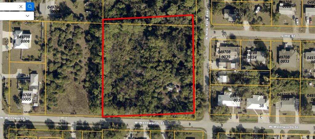 Aerial View of New York Ave Parcel