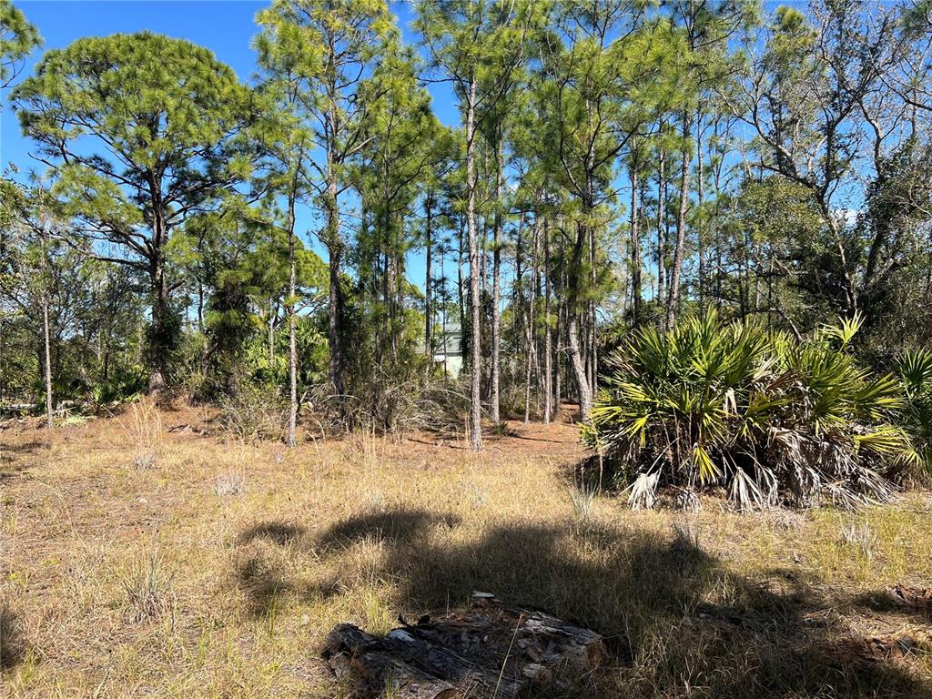 Property for sale at 28019 TREADMILL DRIVE, PUNTA GORDA, FL, 33955