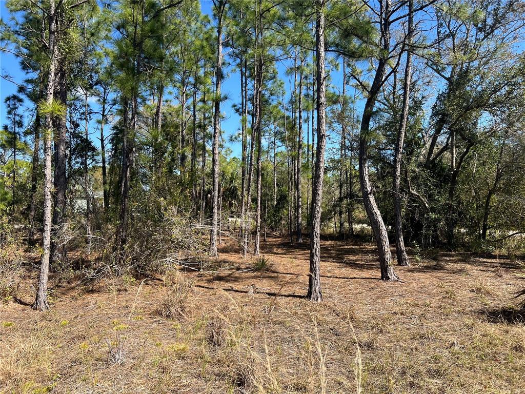 Property for sale at 28019 TREADMILL DRIVE, PUNTA GORDA, FL, 33955