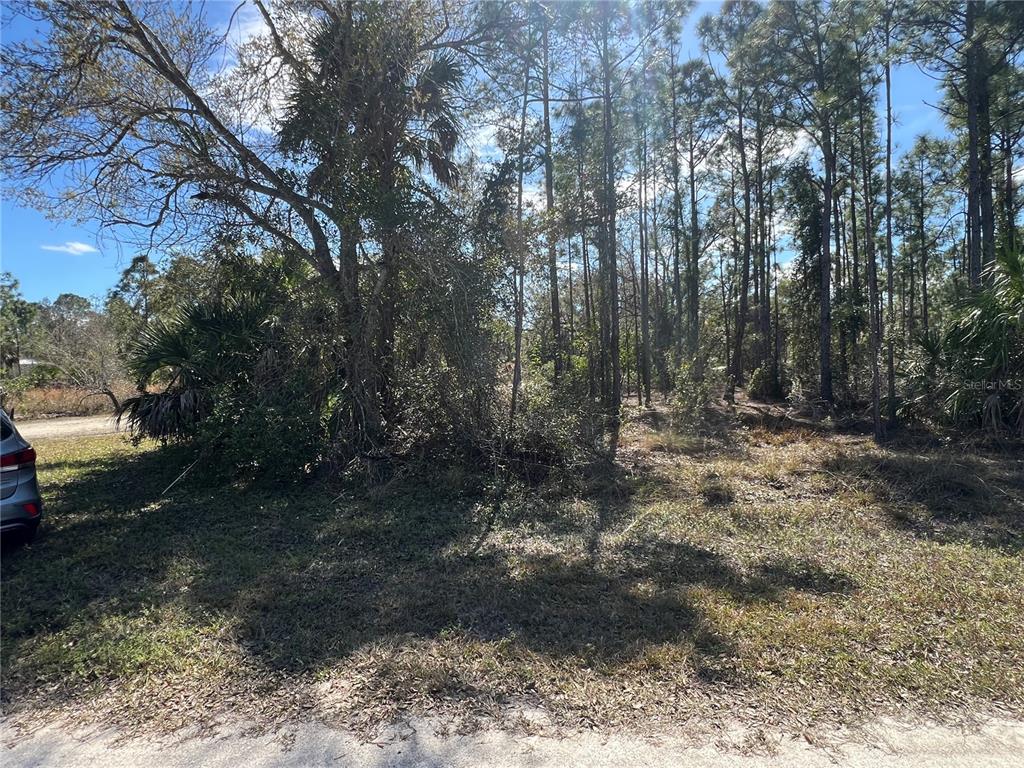 Property for sale at 28019 TREADMILL DRIVE, PUNTA GORDA, FL, 33955