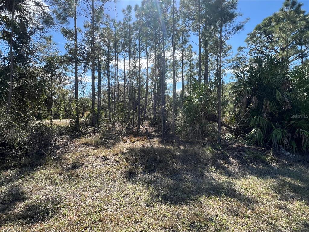 Property for sale at 28019 TREADMILL DRIVE, PUNTA GORDA, FL, 33955