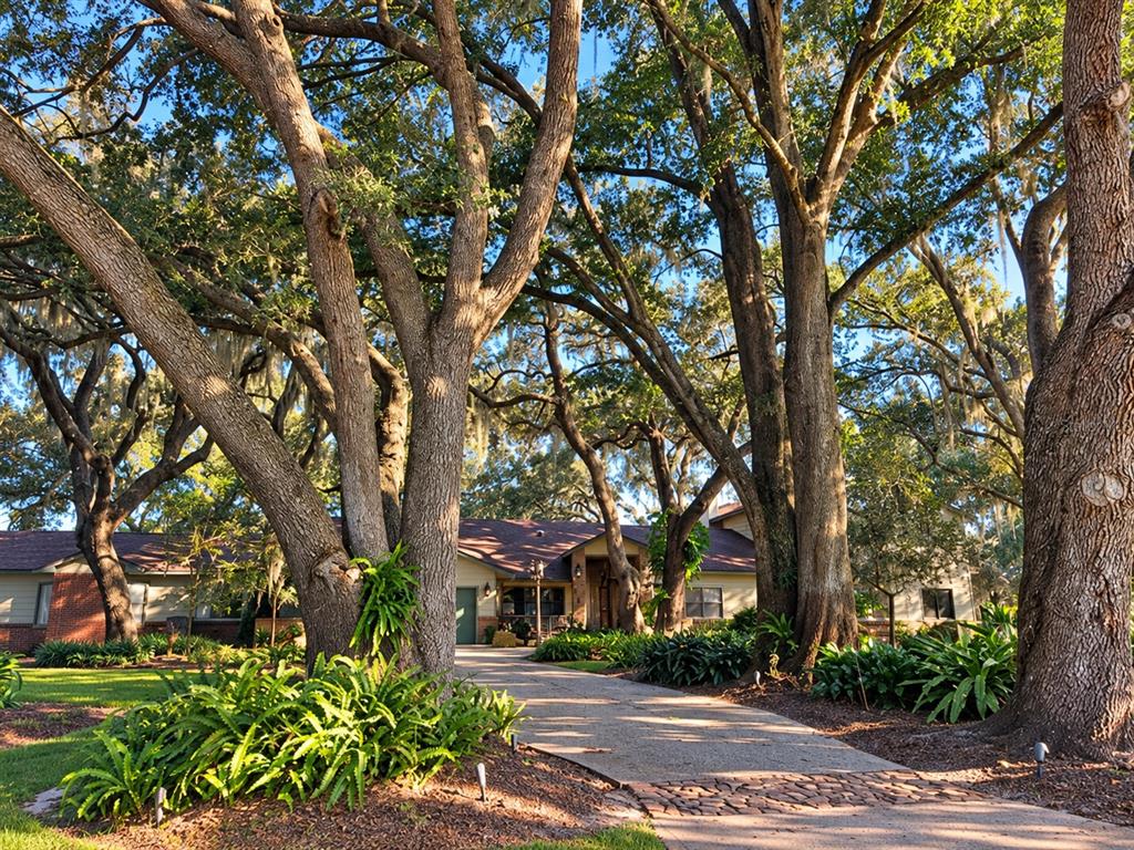 Property for sale at 15211 VINOLA PLACE, MONTVERDE, FL, 34756