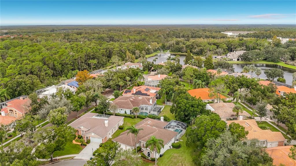 Property for sale at 8704 BROADGREEN COURT, TAMPA, FL, 33647