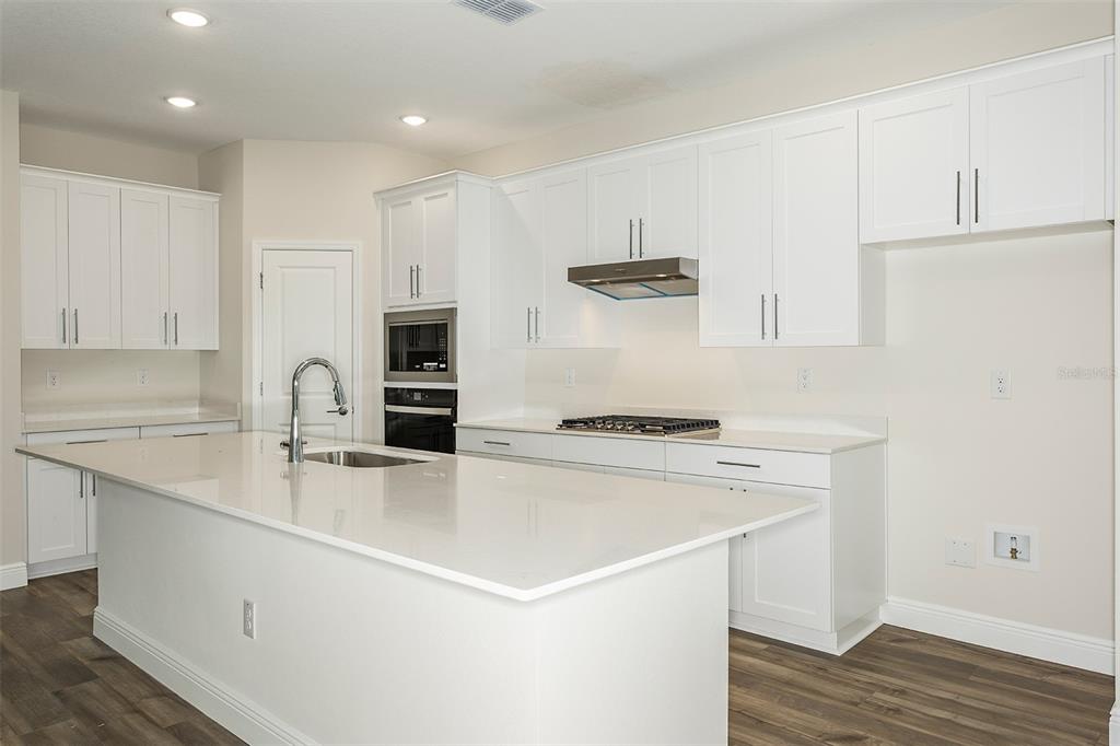 Property for sale at 33580 HAMMOCK BEACH WAY, DADE CITY, FL, 33525