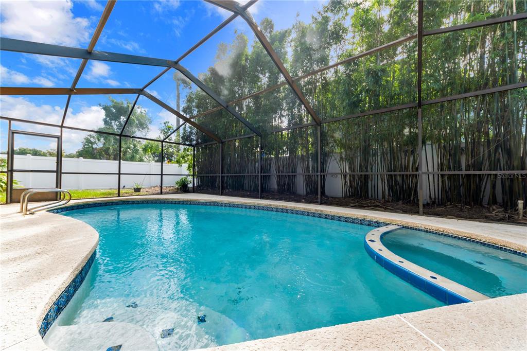 Pool and spa with screened lanai