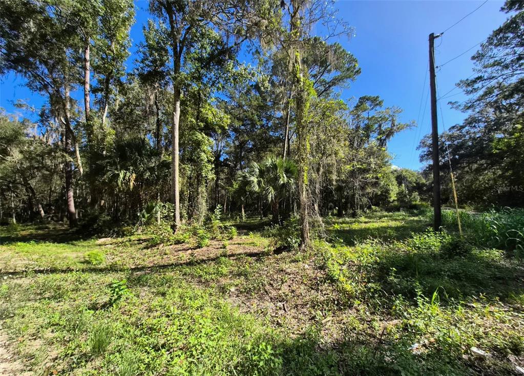 Property for sale at 0 SW 16TH PLACE, OCALA, FL, 34481