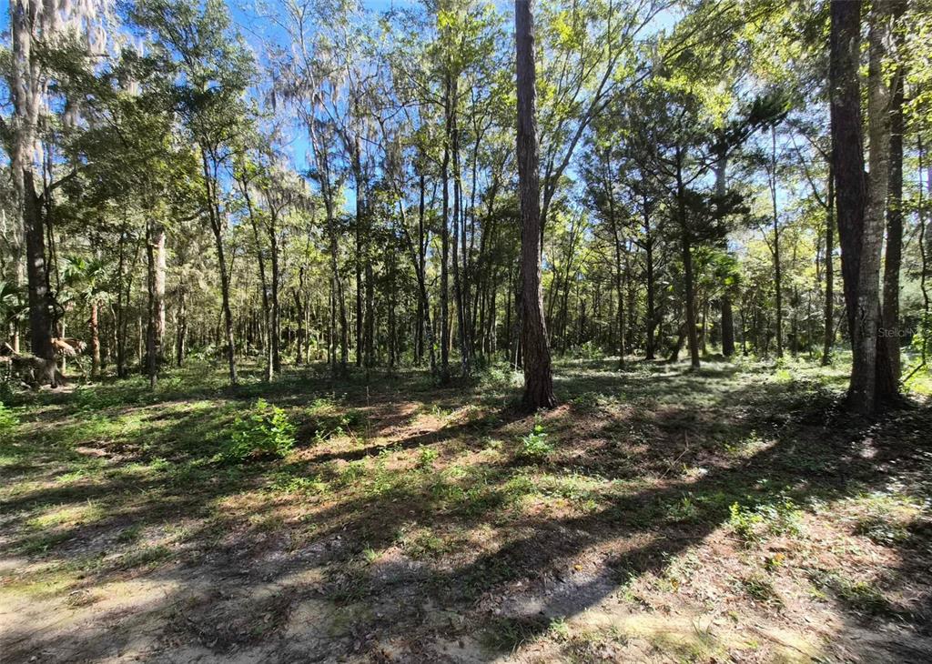 Property for sale at 0 SW 16TH PLACE, OCALA, FL, 34481