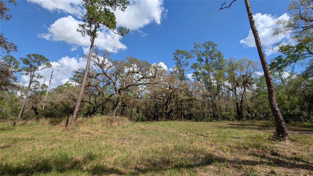 Property for sale at GILLETTE ROAD, ZOLFO SPRINGS, FL, 33890