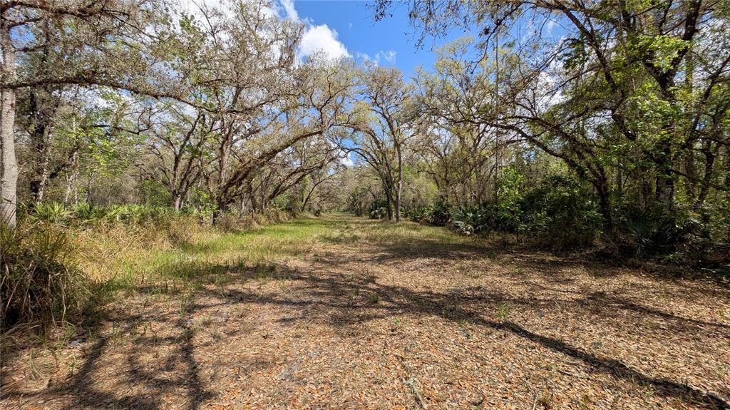 Property for sale at GILLETTE ROAD, ZOLFO SPRINGS, FL, 33890