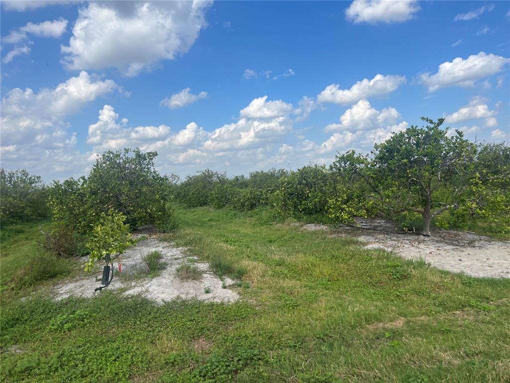 Property for sale at NE HWY 70, ARCADIA, FL, 34266