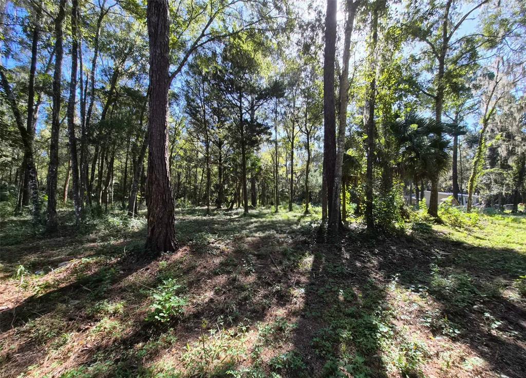 Property for sale at 0 SW 16TH PLACE, OCALA, FL, 34481