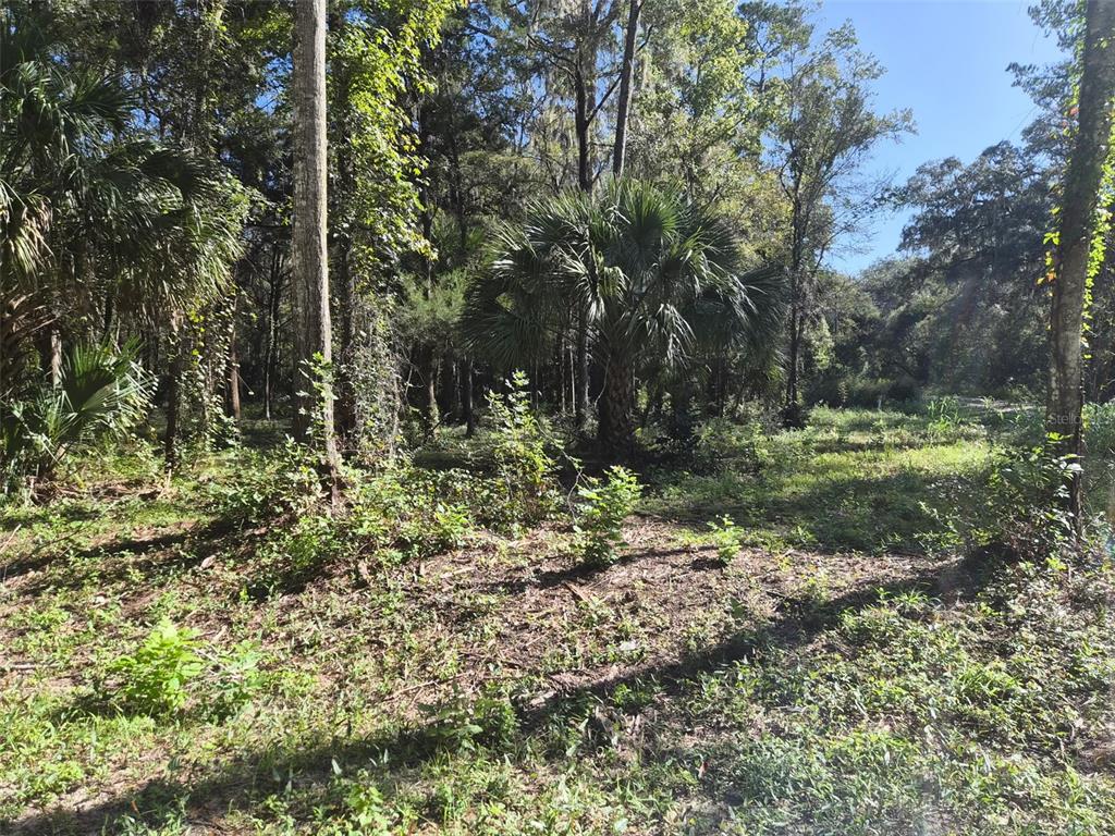 Property for sale at 0 SW 16TH PLACE, OCALA, FL, 34481