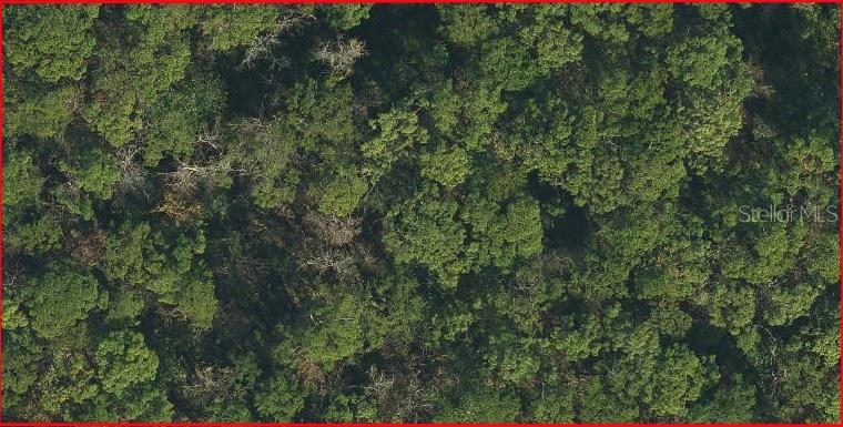 Property for sale at SWEETWATER TRAIL, KISSIMMEE, FL, 34747