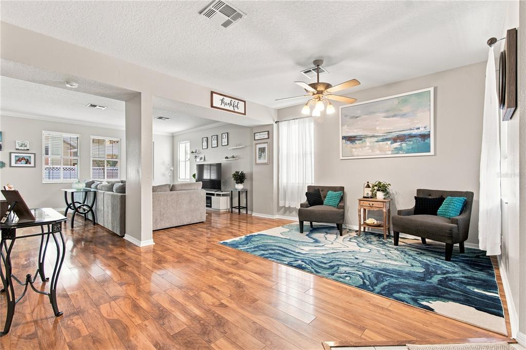 Living Room and Family Room