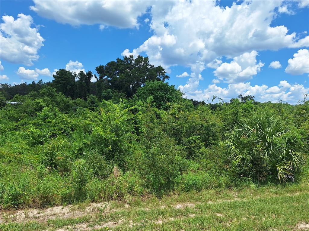 Property for sale at TBD SE HWY. 19, OLD TOWN, FL, 32680
