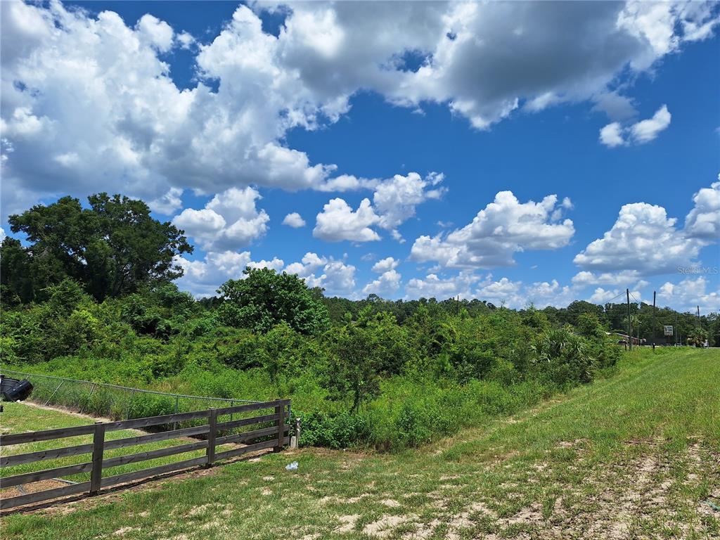 Property for sale at TBD SE HWY. 19, OLD TOWN, FL, 32680