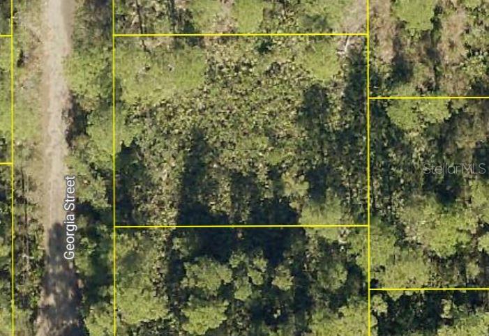 Property for sale at GEORGIA STREET, PAISLEY, FL, 32767