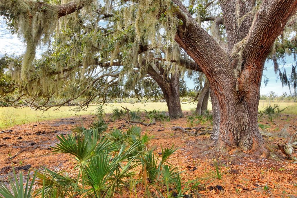 Property for sale at 0 CARLTON LAKE ROAD, WIMAUMA, FL, 33598