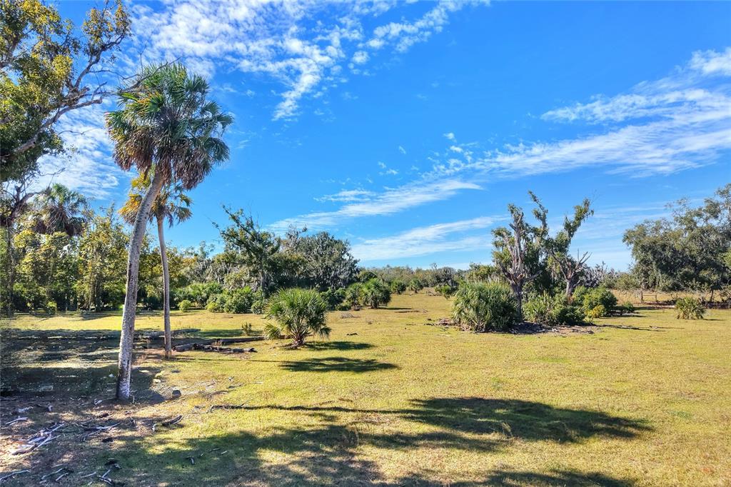 Property for sale at 0 CARLTON LAKE ROAD, WIMAUMA, FL, 33598